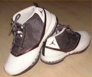 Air Jordan 16 basketball shoe