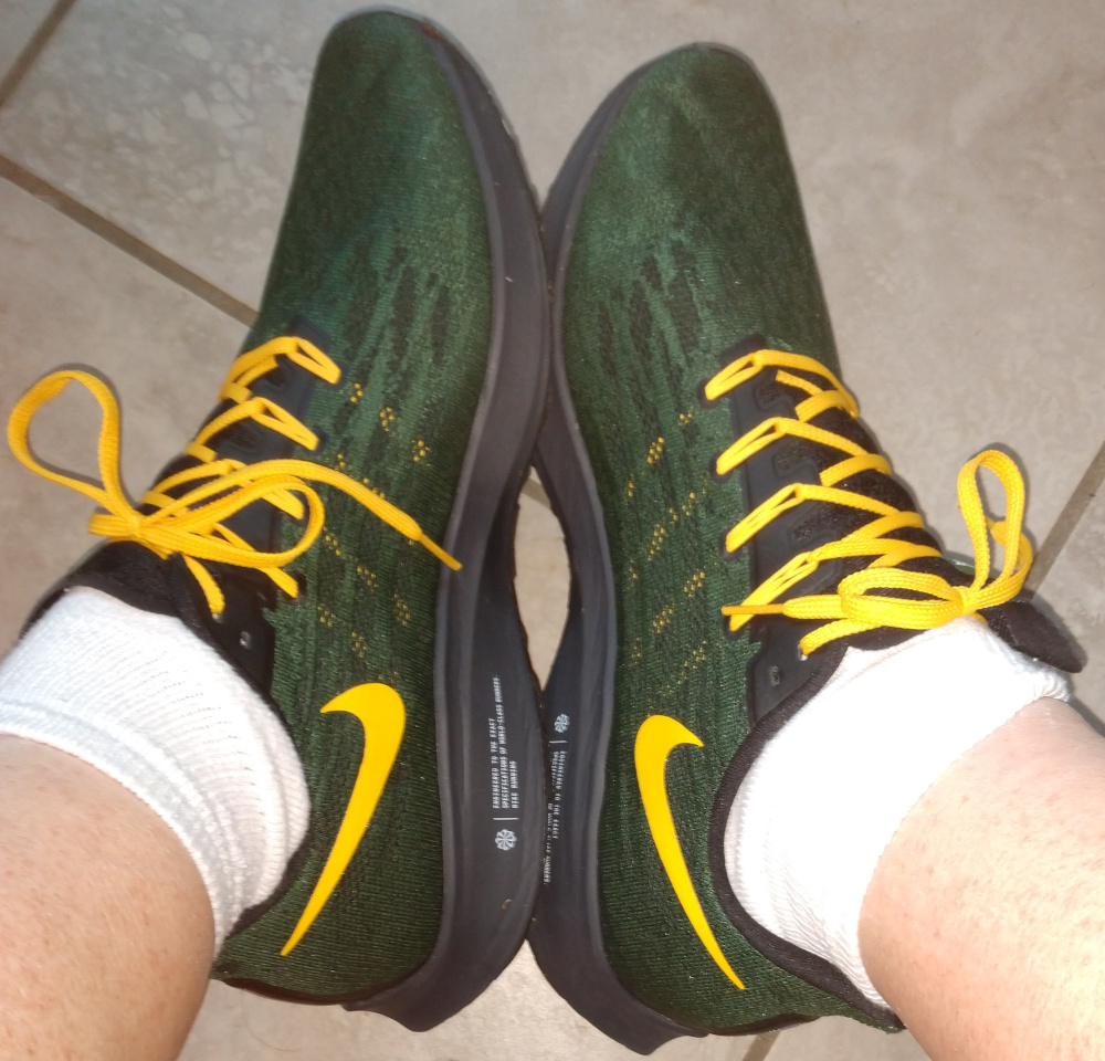 Nike Air Pegasus 36 sneakers (Packers colorway)