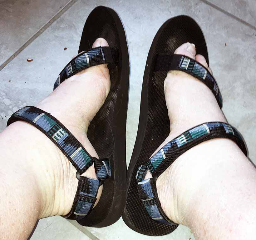 Black and blue Teva sport sandals